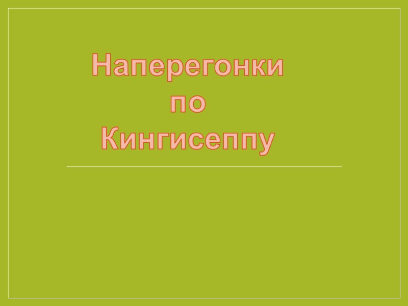 Наперегонки по Кингисеппу